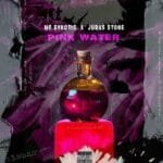 Pink Water (Deluxe Joint Album)